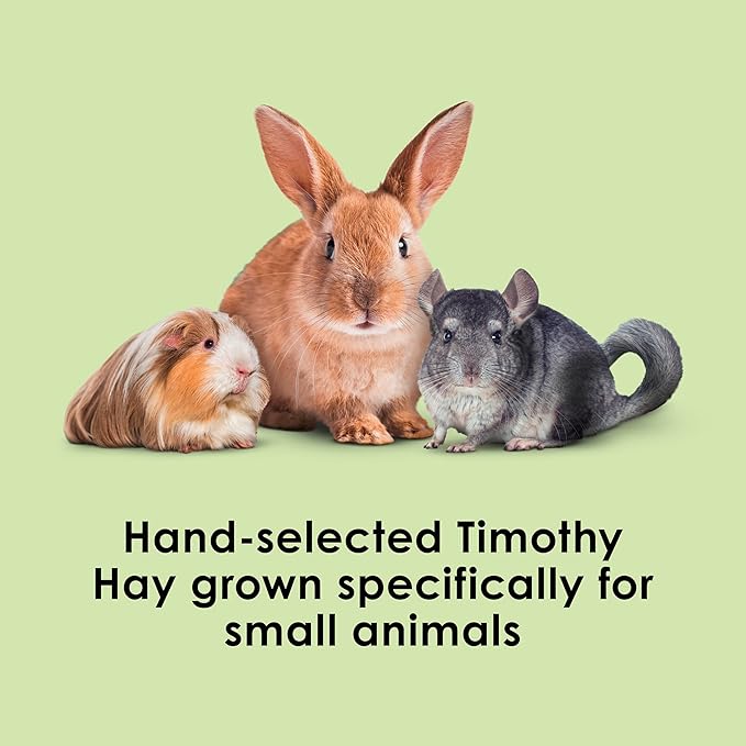 Kaytee Timothy Hay, High Fiber, Grown Specifically for Small Animals, Rabbits, Guinea Pigs, Chinchillas, 2 Pounds
