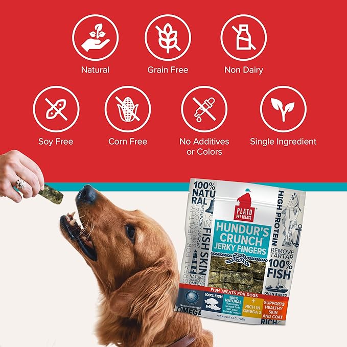 PLATO Hundur's Crunch Jerky Fingers 10oz, Natural