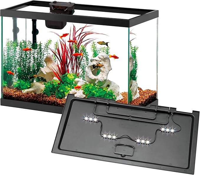 Aqueon 20 Gallon Aquarium Starter Kit with SmartClean Filtration and LED Lighting for Tropical Freshwater Fish