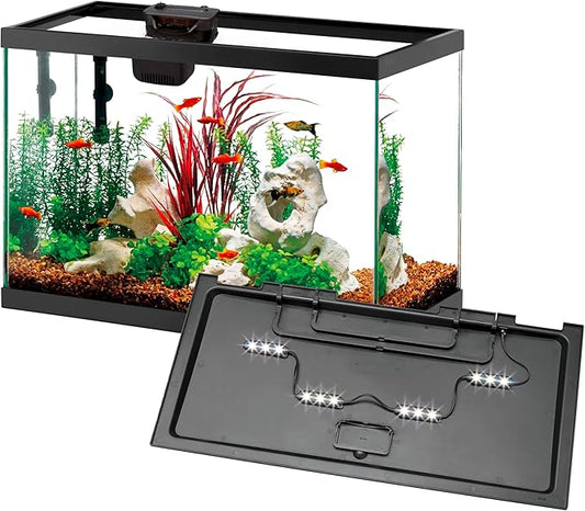 Aqueon 20 Gallon Aquarium Starter Kit with SmartClean Filtration and LED Lighting for Tropical Freshwater Fish