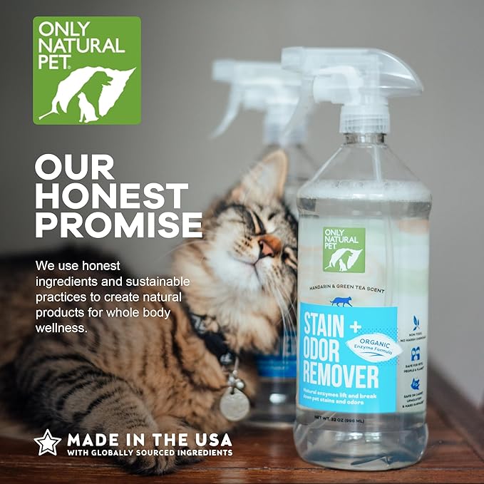 Only Natural Pet Enzyme Powered Stain & Odor Eliminator - Professional Pet Urine Pee Cleaner Deodorizer for Cats - Hardwood Floors Carpets Upholstery - Fresh Mandarin Orange & Green Tea Scent 32Floz