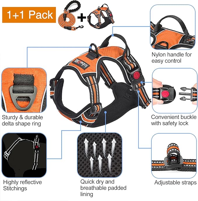 No Pull Dog Harness Adjustable Reflective Oxford Easy Control Medium Large Dog Harness with A Free Heavy Duty 5ft Dog Leash (M (Chest: 22"-26"), Orange Harness+Leash)