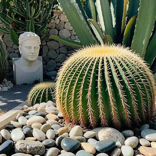 Pebbles for Indoor Plants, 10lbs Colorful Pebbles 1-2 Inch Decorative River Rocks for Planters, High Polished Stones for Vase Filler Fish Tank Landscaping Garden