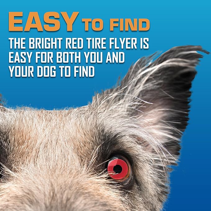 Nerf Dog Atomic Flyer Outdoor Dog Toy, 10 Inch Flying Disc Dog Fetch Toy, Rubber Dog Toy for Medium Dogs and Large Dogs, Red