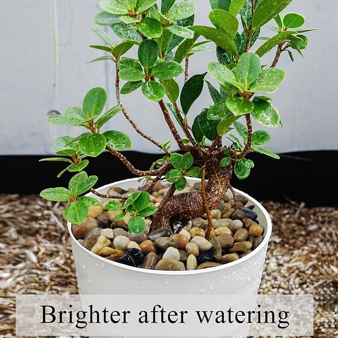 2lbs Aquarium Rocks, 2/5 Inch Pea Gravel for Indoor Plants, Decorative River Rocks for Fish Tank Succulent Vase Plant Soil Cover and Outdoor Landscaping