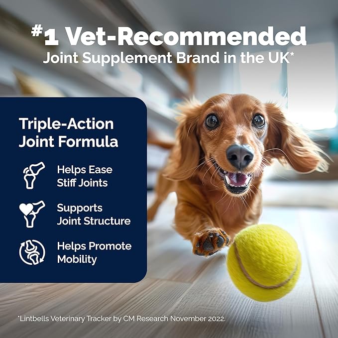 YuMOVE Hip & Joint Supplement for Dogs with Glucosamine, Hyaluronic Acid, Green Lipped Mussel & Omega 3 Joint Supplement - Regular and Advanced Strength (120ct, Chewable Tablets)