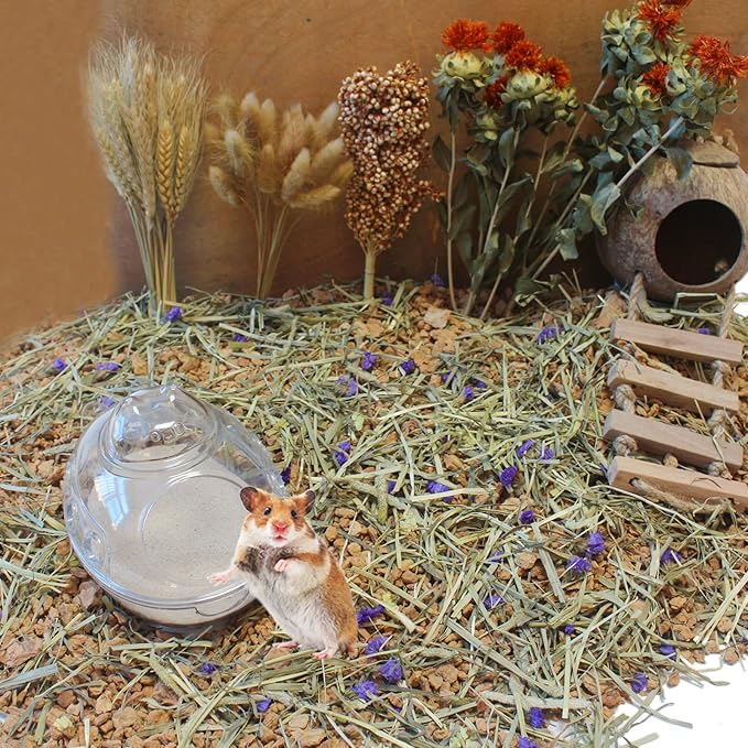 Hamster Bath Sand, 7.7lb Dust Free Desert Sand or Potty Litter Sand for Hamster Chinchillas Gerbil Syrian Mice Small Animals(Beige)