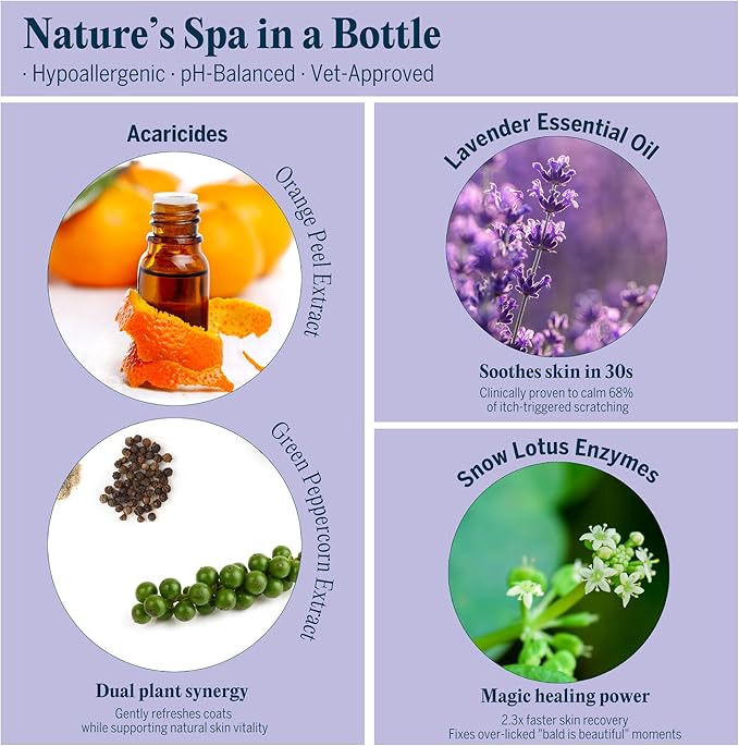 Pretty Kitty Waterless Cat Dry Shampoo – No Rinse, Lick-Safe, Moisturizing for Dry Skin, Detangler, Deshedding, Itchy Skin– Soap-Free Spray Foam for Kittens, Grooming Bathing Hydrat Softening Formula