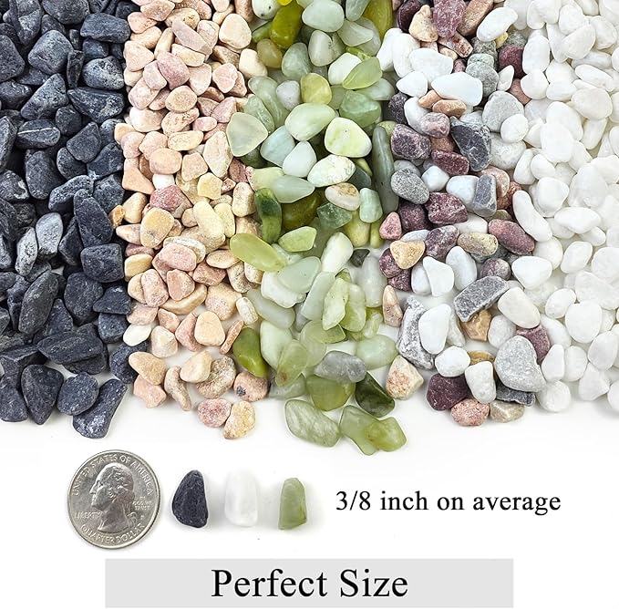 10LB Natural Succulent Gravel Decorative White Rocks - 3/8'' Small White Pebbles for Plants, Decorative Stones, Succulent Rocks Pebbles for Planter, Aquarium Pea Gravel for Landscaping