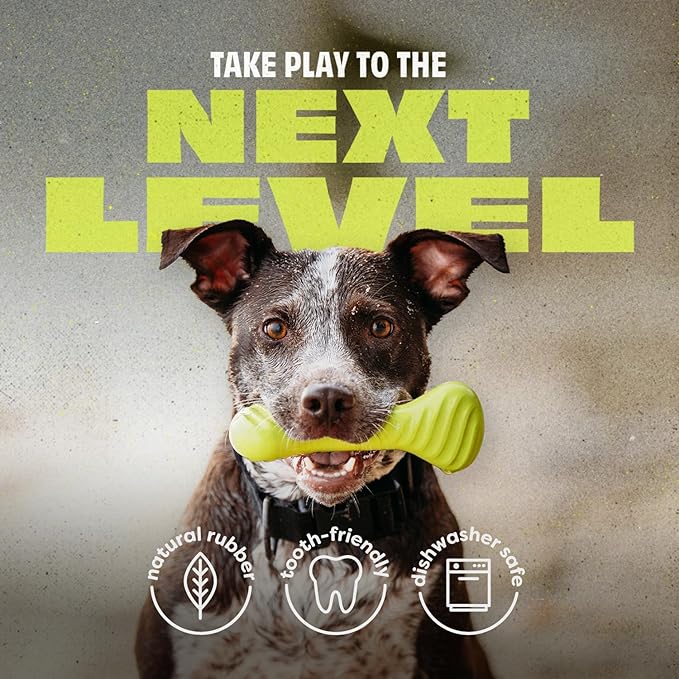 Benebone Natural Rubber Dog Bone Chew Toy, Natural Rubber