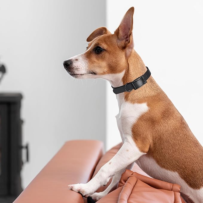 Dogline Biothane Waterproof Dog Collar Strong Coated Nylon Webbing with Black Hardware Odor- Proof for Easy Care Easy to Clean High Performance Fits Small Medium or Large Dogs, Black