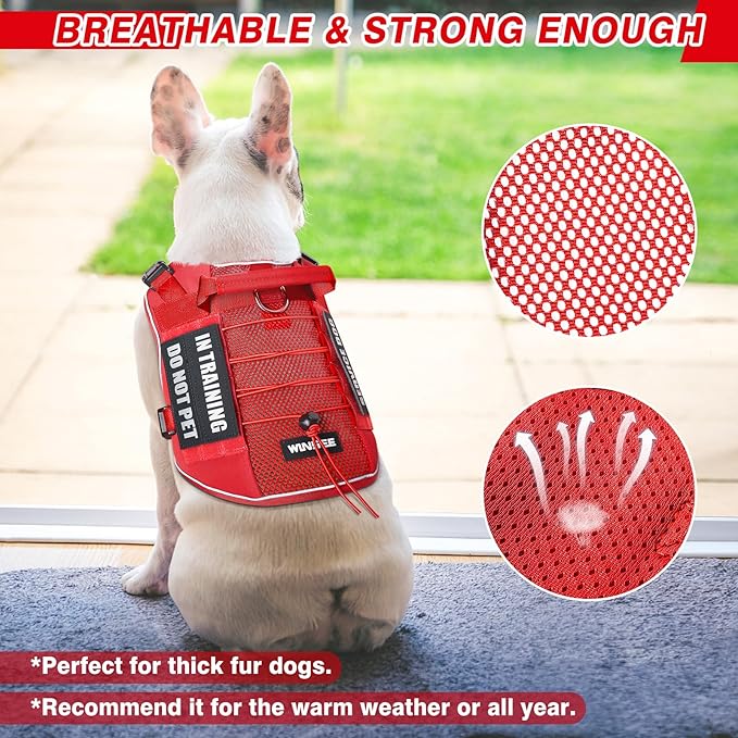 WINSEE Service Dog in Training Mesh Harness with 10 Pet Patches, Soft Air Mesh Breathable Tactical Dog Molle Vest, Reflective Military Pet Vest for Walking Hiking for Large Dogs