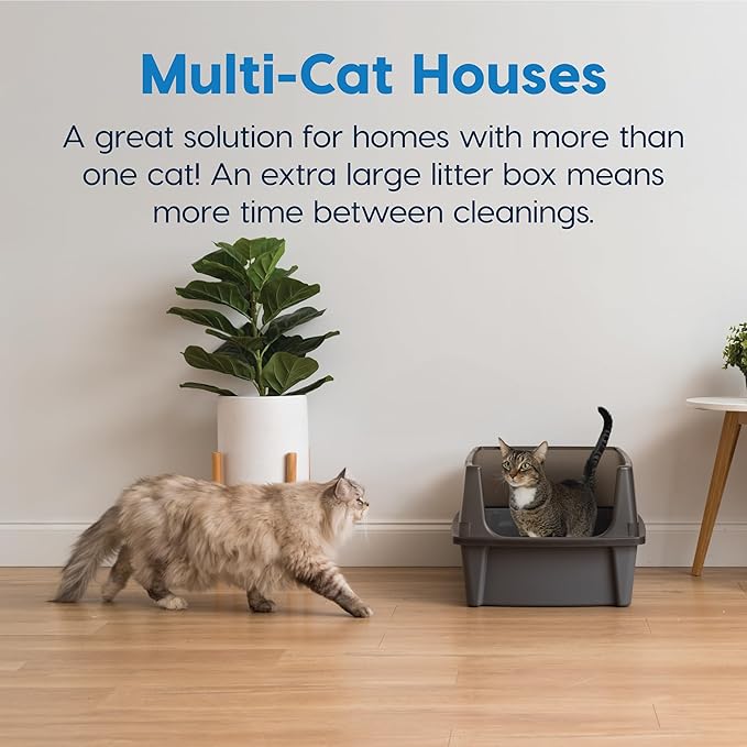 IRIS USA XX-Large Cat Litter Box, Open Top Extra Large Litter Box for Big Cats and Multi-Cat Households, High Sided Scatter Shield, Easy to Clean, 30" L x 20" W x 14" H, Gray