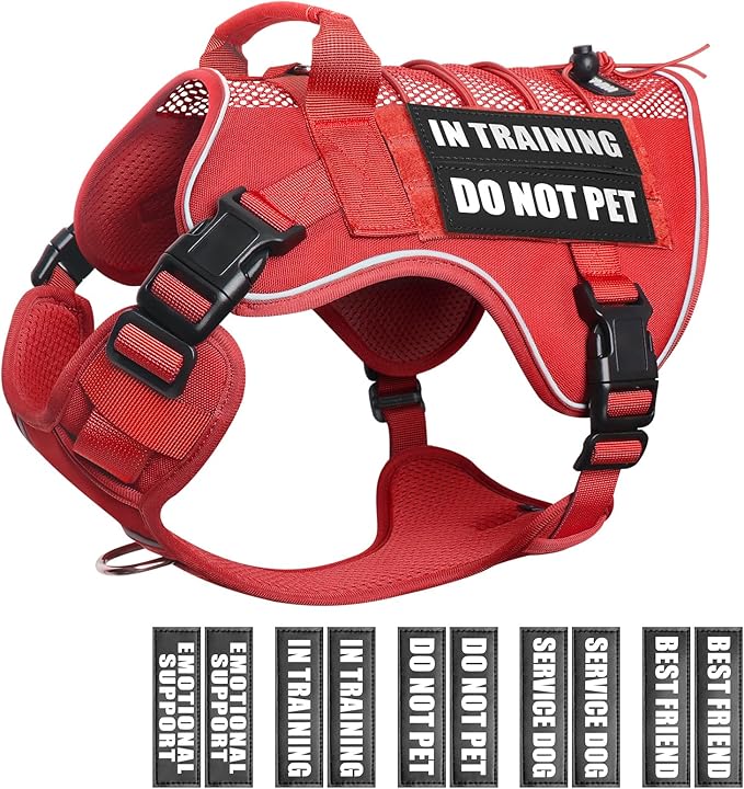 WINSEE Service Dog in Training Mesh Harness with 10 Pet Patches, Soft Air Mesh Breathable Tactical Dog Molle Vest, Reflective Military Pet Vest for Walking Hiking for Large Dogs