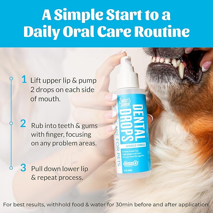 SKOUT'S HONOR Advanced Dental Drops - Fights Plaque and Tartar, Freshens Breath Fast, No Brushing Required, 4oz