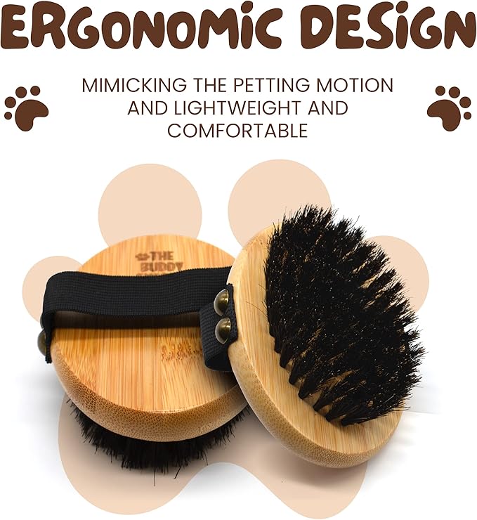 The Buddy System Pet Close Brush, Soft Touch Oval Palm Brush - Bamboo Massage Handheld with Soft Boar Bristles and Elastic Band for Dogs and Cats