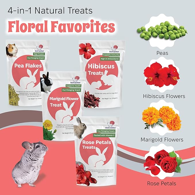 Snout and Shell Floral Favorites 4-in-1 Natural Treats for Small Pets – Pea Flakes, Marigold, Rose Petals & Hibiscus – Healthy Snacks for Rabbits, Guinea Pigs, Chinchillas & More
