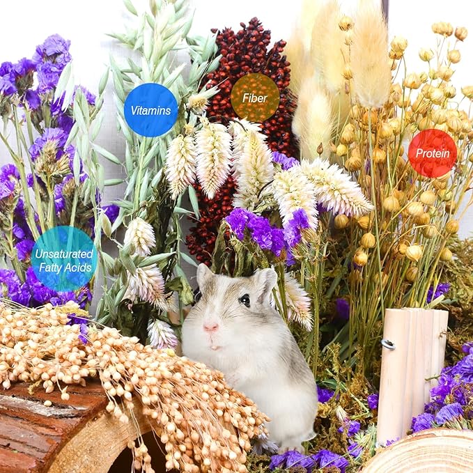 Natural Hamster Bedding, Hamster Herbs Flowers for Hamster Cage Enclosure Habitat Decor Hamster Sprays for Dwarf Syrian Guinea Hamsters Gerbil Degus or Other Small Animals（Flower Grain Version）