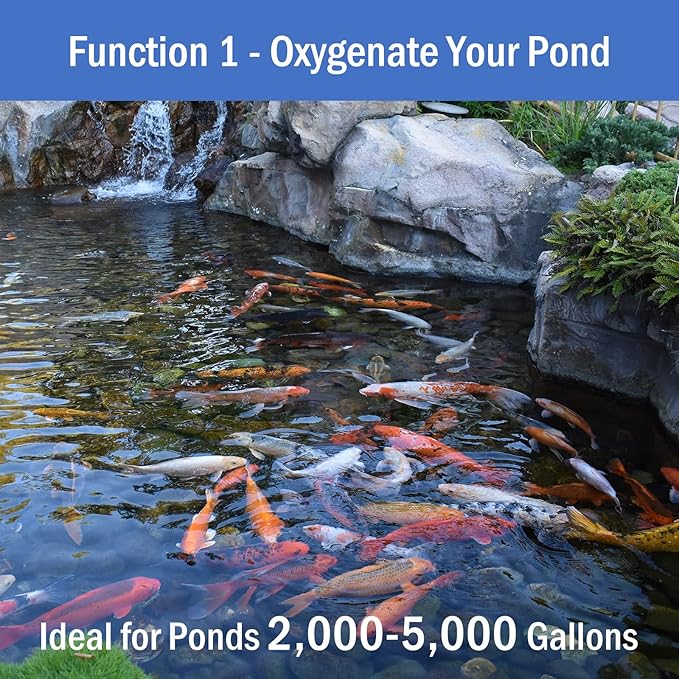 AquaMiracle All-in-One Koi Pond Aerator for Outdoor Ponds, Pond Air Pump Pond Aeration System with Self-Sinking Airline Flow Control Rubber Air Diffuser