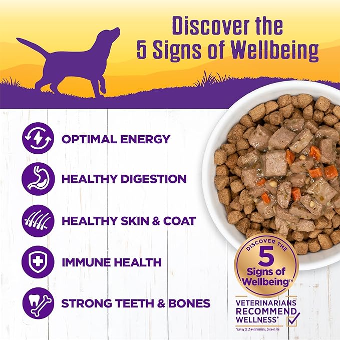 Wellness Complete Health Thick & Chunky Natural Canned Wet Dog Food, Lamb & Beef Stew, 12.5-Ounce Can (Pack of 12)