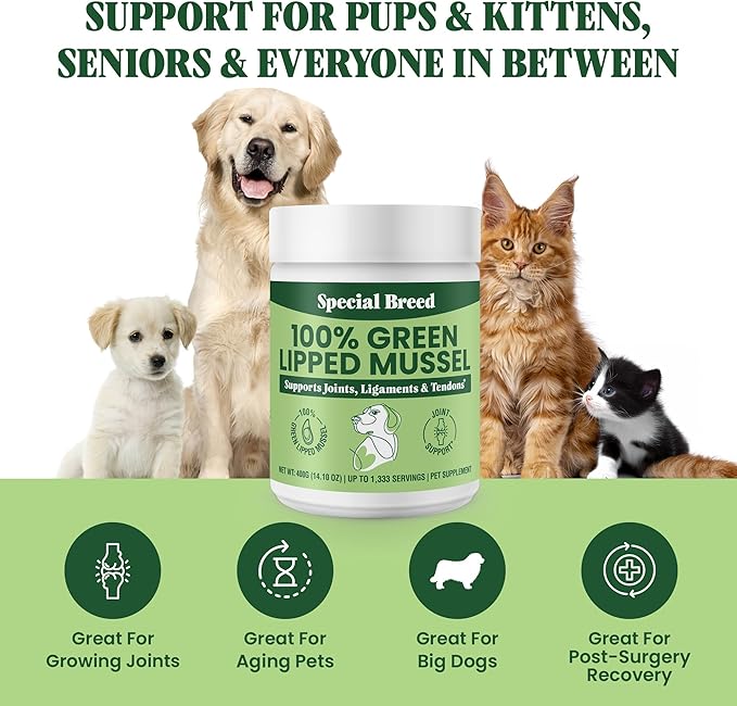 Special Breed Green Lipped Mussel Powder for Dogs & Cats - 100% New Zealand Green Lipped Mussels - Natural Hip & Joint Supplement for Joints, Tendons, Ligaments, Muscles - 400 Grams - 1,333 Servings