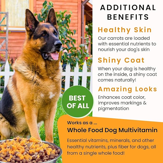 Olewo Original Carrots for Dogs – Fiber for Perfect Poop, Dog Food Toppers for Picky Eaters, Natural Skin & Coat Support, Multivitamin, Probiotics for Digestive and Gut Health, 5.5 lbs