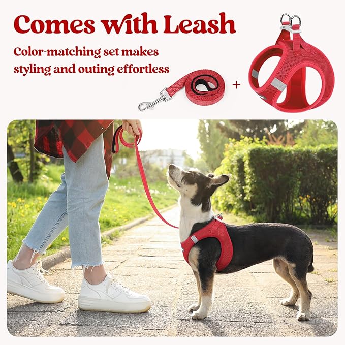 rabbitgoo Dog Harness Small Sized and Leash Set, Step in Soft Light Puppy Vest, Breathable Mesh Pet Harness, Reflective for Safe Easy Walking, Red M