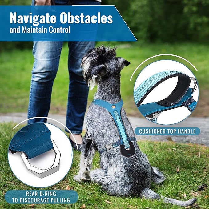 No-Pull Dog Harness with Handle - Escape Proof, Anti-Pulling, Grip Control, Multi-Angle Reflective for Safe Walks & Training, Easy On & Off, Metal Buckle–Pet Harness, Medium/Large Dogs- H3- Blue