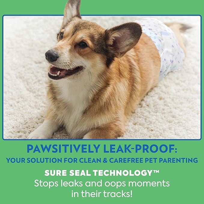 Out! PetCare Disposable Male Dog Wraps, Puppy Pee Wraps, Belly Bands for Dogs, Leak Proof, Wetness Indicator, Puppy and Doggie Diaper for Peeing, XS/Small, 96 Count