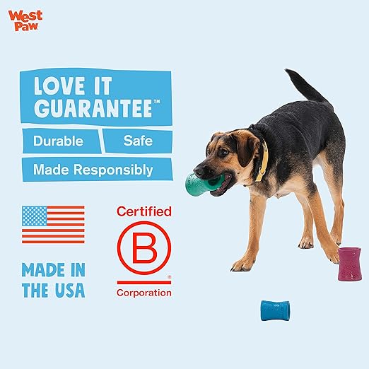 WEST PAW Funnl Dog Chew Toy - Interactive Treat Toys for Dogs - Toy Fillable with Earth Animal No-Hide Chews - Large 4.25" Kelp | Made in USA