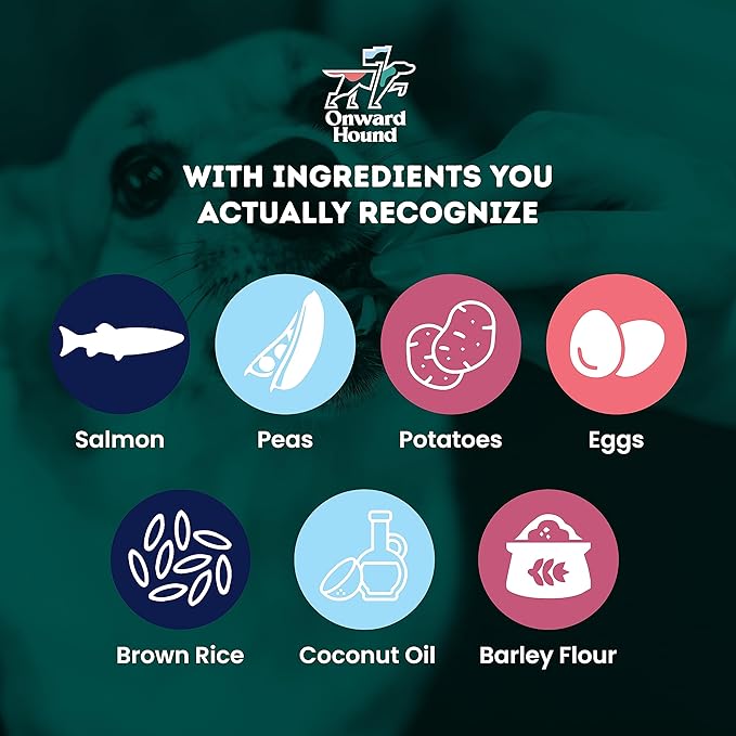 Training Treats for Dogs - Soft Salmon - Low Calorie Dog Training Treats for Sensitive Stomachs with Single Source Premium Protein, Corn Free, & Soy Free Formula - 4 oz