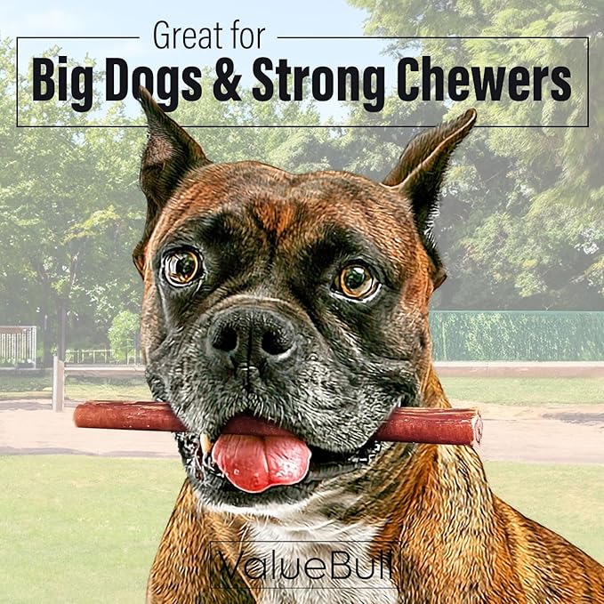ValueBull Bully Sticks for Dogs, Thick 6 Inch, 200 Count Bulk Pack - All Natural, Grass Fed, Single Ingredient, Long Lasting Dog Treats