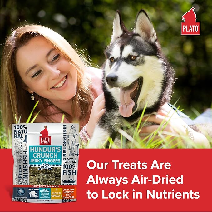 PLATO Hundur's Crunch Jerky Fingers 10oz, Natural