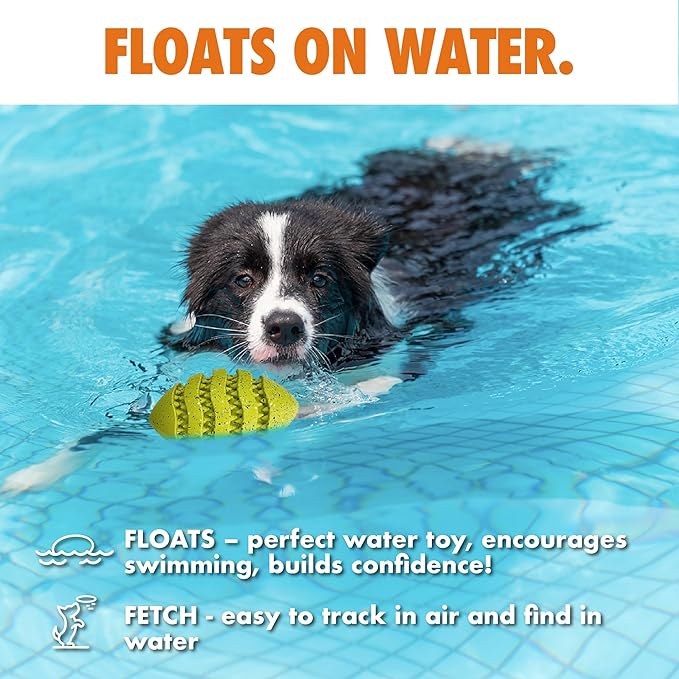 Max Fusion with Nike Grind, Arlee Spiro Football Treat Dispensing Dog Toy, Durable Dog Treat Toy, L