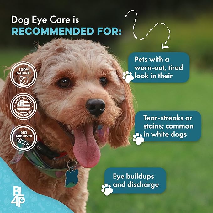 Dog Eye Care & Infection Treatment, Natural Dog Supplements for Conjunctivitis, Swelling, Dry Eyes and Discharge, Easy to Use, No More Struggle with Canine Drops, 400 Small Pills