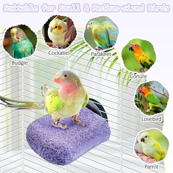 PINVNBY 5 Pack Bird Perch Resin Bird Beak Grinding Stone Parrot Cage Perch Stand Platform Foot Claws Trimmer Chew Toy Bird Cage Accessories for Budgie Cockatiel Conure Lovebird Finch (Purple)