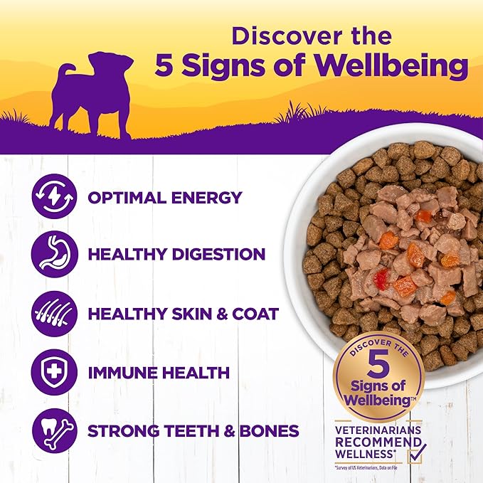 Wellness Petite Entrées Mini-Filets with Roasted Beef, Carrots & Red Peppers in Gravy, 3-Ounce Cup (Pack of 12)