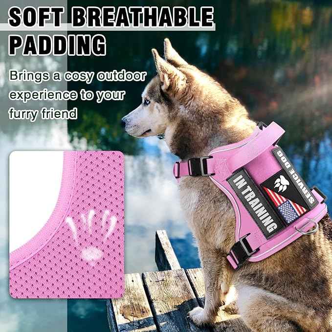 WINSEE Service Dog in Training Harness with 5 PCS Patches, Reflective Tactical Dog Vest Harness, Adjustable Soft Oxford Pet Harness with Easy Control Handle, Hook & Loop Panels for Walking Hiking