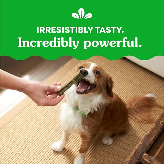 Greenies Petite Dental Dog Treats, 3-Flavor Variety Pack, (3) 12 oz. Pouches, 60 Total Treats