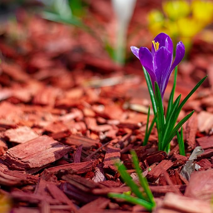 Premium Red Wood Mulch for Indoor, Patio, Potting Media, Gardens, Lawns, and Landscaping (1.3 CF - 37 L - 39 QTS)