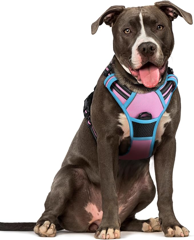 rabbitgoo Dog Harness No Pull with 2 Leash Clips, Adjustable Soft Padded, Reflective Oxford No Choke Pet Vest with Easy Control Handle for Large Dogs, Pink & Blue, L