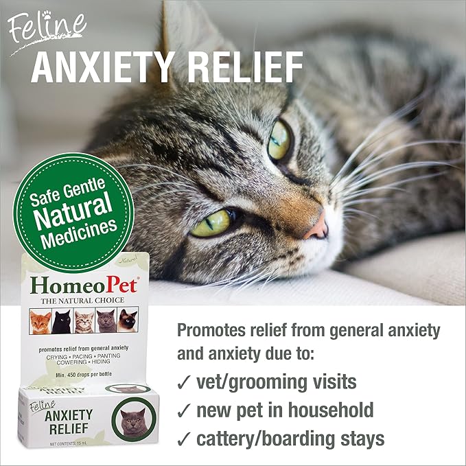 HomeoPet Feline Anxiety Relief, Natural Stress and Anxiety Support, Anxiety Supplement for Cats, 15 Milliliters