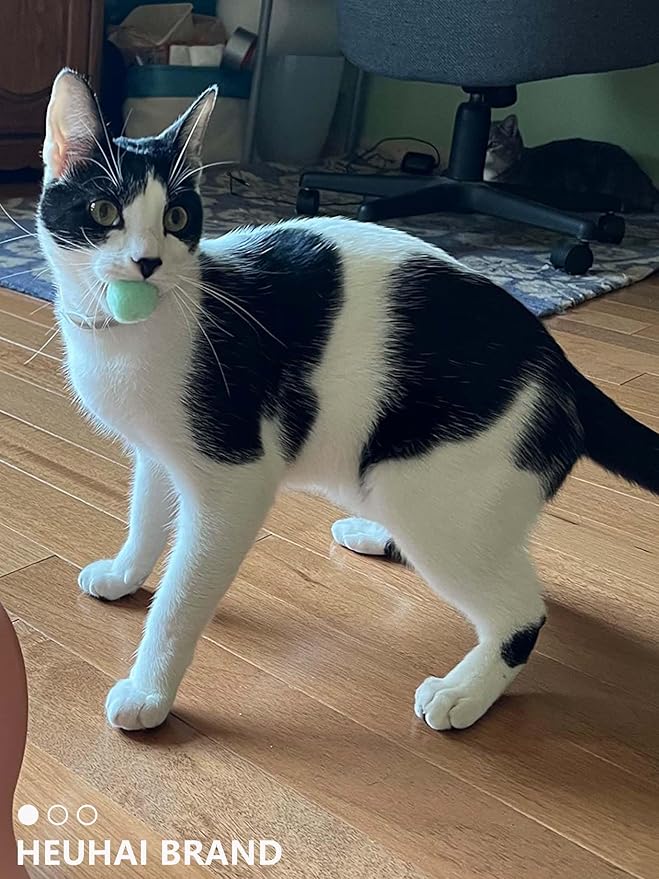 80-Pack Cat Toy Balls 10 Assorted Colors 1.25 Inch Diameter Suitable for All Cat Sizes (Cat Toys Value Pack)