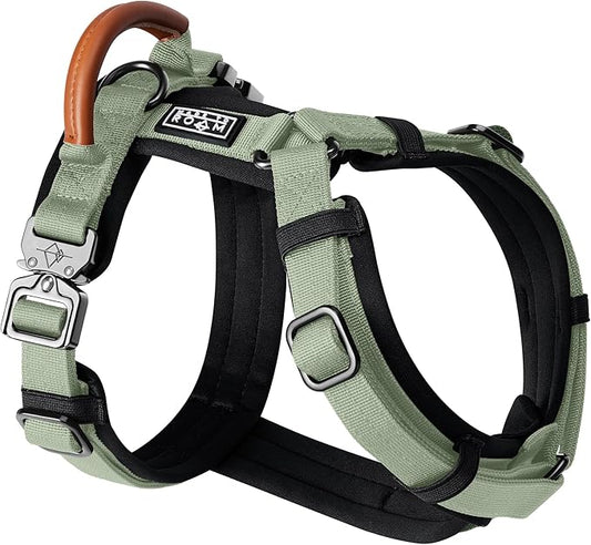 MADE TO ROAM Premium Explorer Harness - Y-Shaped Dog Harness with Adjustable Durable Nylon, Soft Padding, Metal Buckles and Leather Handle for Small, Medium, Large Dogs (Washington Rain, Size 2)