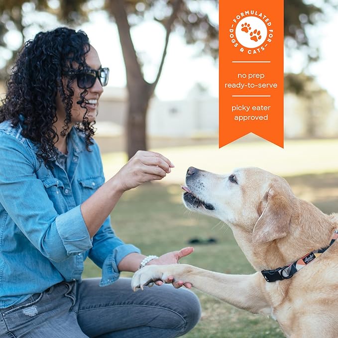 smallbatch Freeze Dried Dog Treats, Superfood Food Topper Chicken Bites for Dogs & Cats, Probiotics, Organic Ingredients, High Protein, Grain Free Healthy Treat Food Topper, Made in The USA, 7 oz Bag