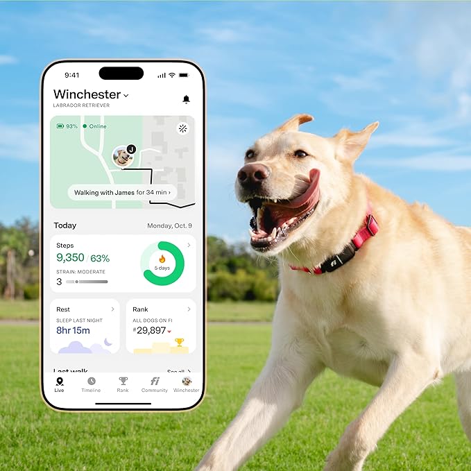 New Fi Series 3+ Smart Dog Tracker Collar – AI GPS for Dogs, Health & Behavior Monitor, Virtual Fence, Escape Alerts, Waterproof, Apple Watch Compatible 12Mo Membership Included