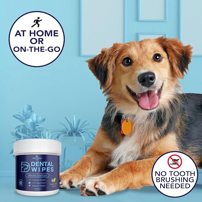 NOVEHA Pets Dental Finger Wipes for Dogs & Cats | Freshens Breath, Reduces Plaque | Healthier Gums | Clean Teeth No Toothbrush | Vet Recommended Effective Natural Oral Care (100 pcs, Mint)