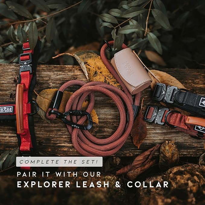 MADE TO ROAM Premium Explorer Harness - Y-Shaped Dog Harness with Adjustable Durable Nylon, Soft Padding, Metal Buckles and Leather Handle for Small, Medium, Large Dogs (Arizona Heartbeat, Size 3)