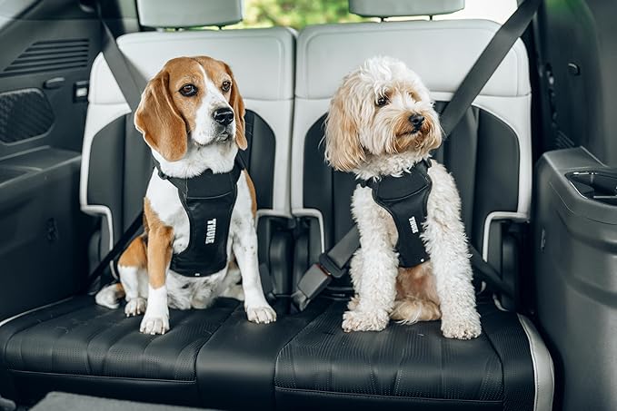 Thule Cappy Dog Harness M - Crash-Tested for Safety - Seatbelt passthrough - Adjustable & Easy to Clean - Padded Breathable mesh Panels - Leash Loop - Step-in Design