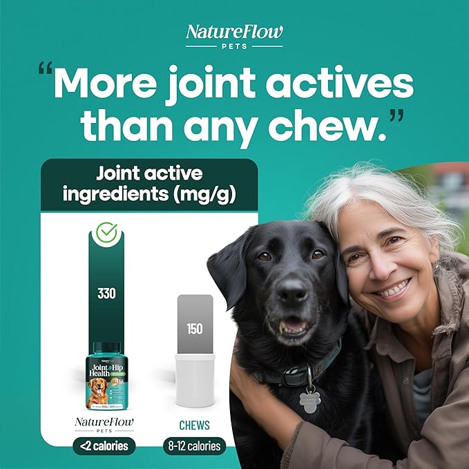 Joint Supplement for Dogs, Power of Nature Made in USA, Unique Formula: Green-Lipped Mussel, Glucosamine, Chrondroitin, MSM, Devils Claw, Hip and Joint Supplement, All Breeds - 200 ct